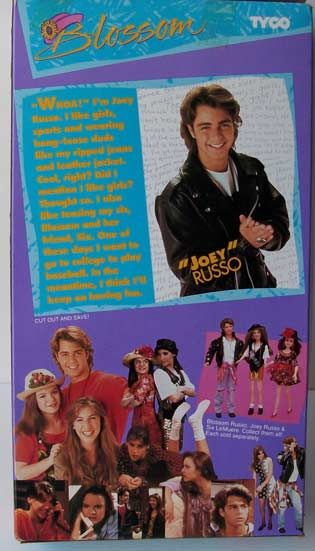 Blossom TV Show Joey Russo Joe Lawrence Doll RARE