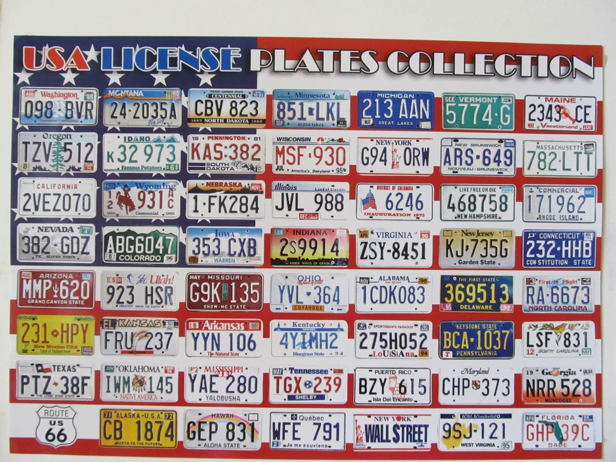 Usa License Plate Poster All 50 States On Popscreen