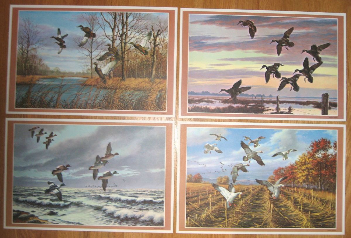 DIFFERENT VINTAGE DAVID MAASS PRINTS 17 1 4 x11 1 4 WILDERNESS WINGS