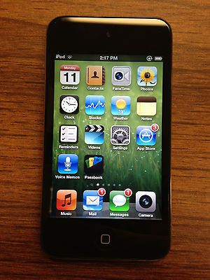 Apple iPod touch 4th Generation Black (32 GB)