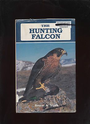 HUNTING FALCON PRAIRIE FALCON DOGS PREFLIGHT TRAIN EYAS TELEMETRY