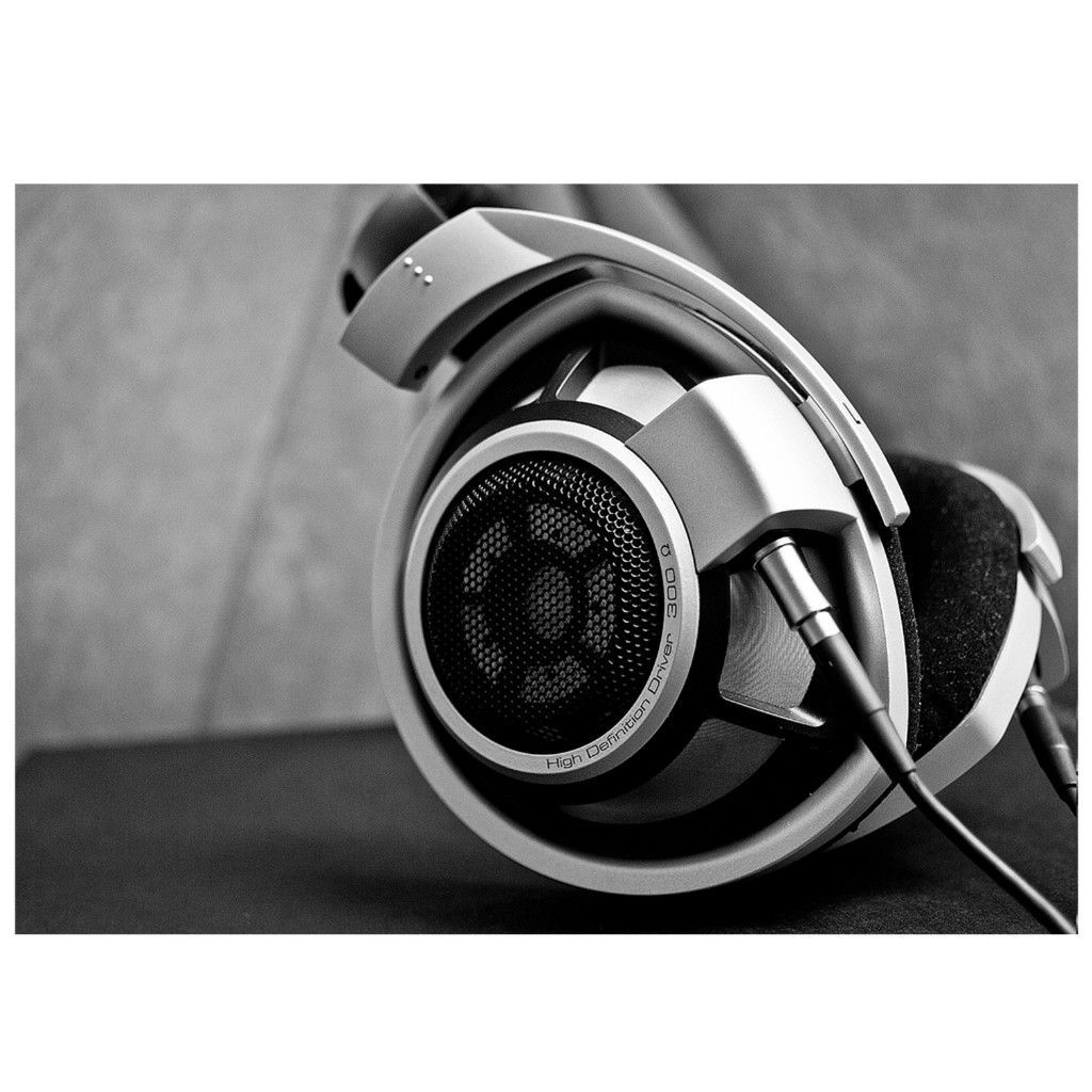 Sennheiser HD 800 Headphones Art LAMINATED Poster UK