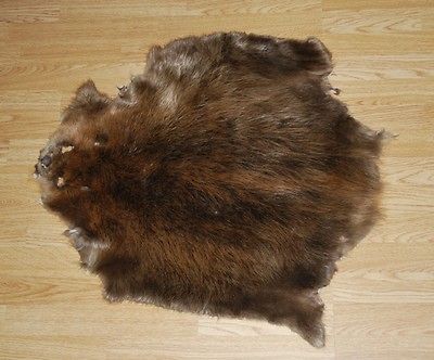 Beaver Fur/Pelt/Hide Professional Garment Tanned