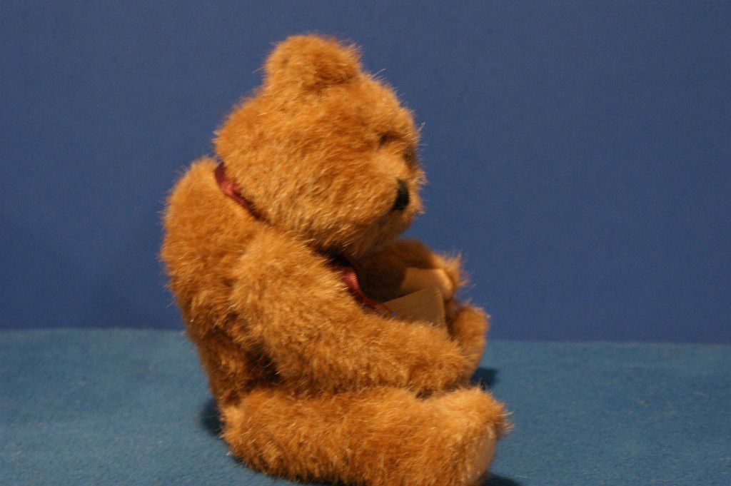 BOYDS BEAR ~GRUMPS~ HIMALAYAN DANCING BEAR SERIES