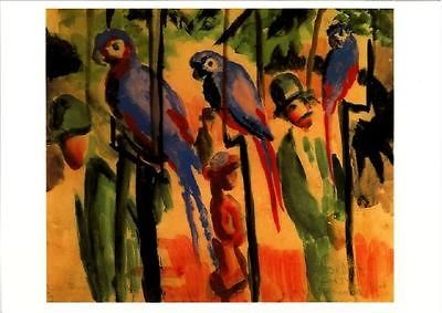 Blue Parrots by August Macke Art Postcard