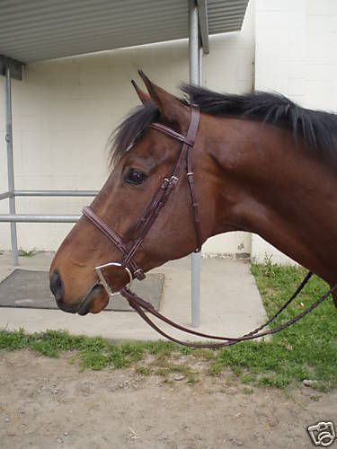 Bobbys Platinum Fancy Stitched Bridle W/ Reins PADDED