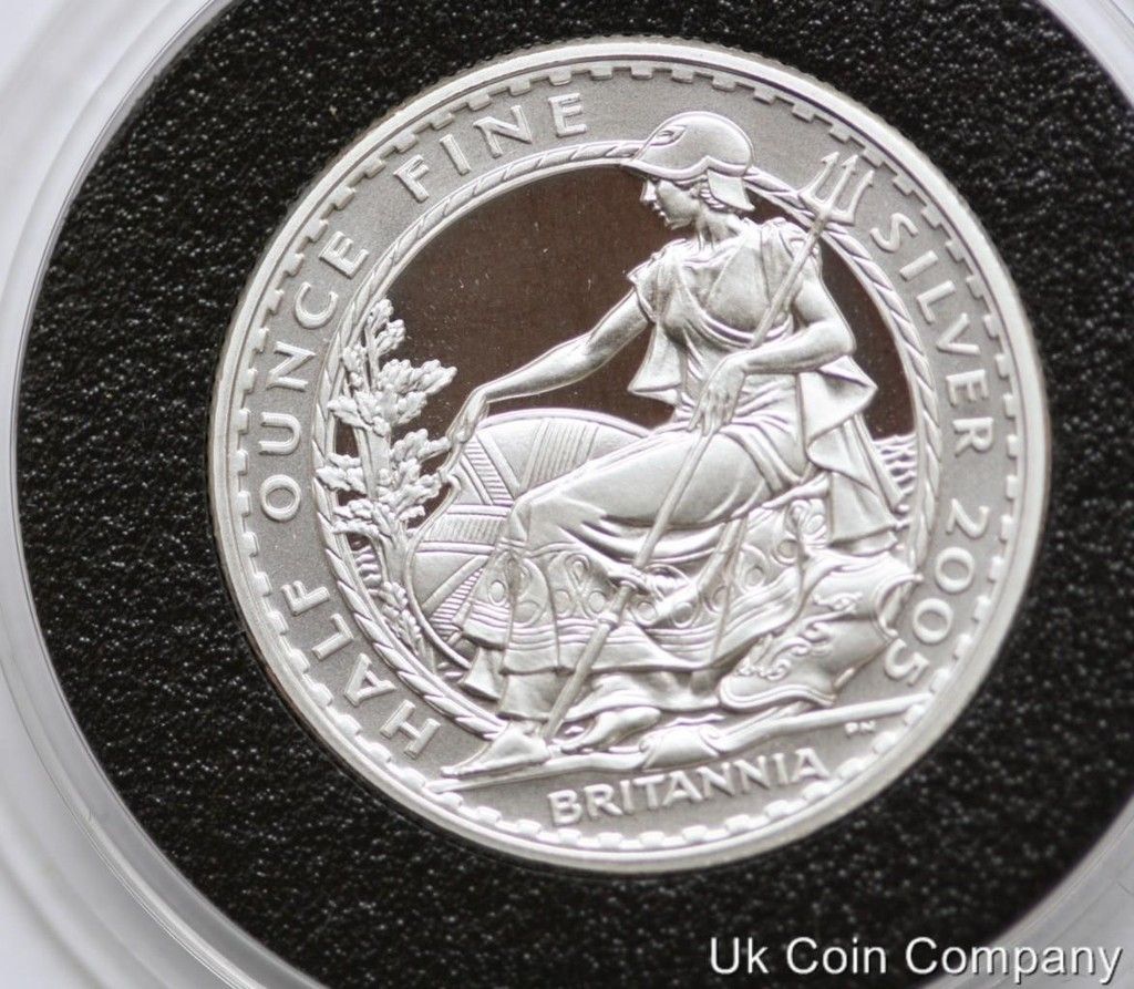 2005 SILVER BRITANNIA £1 ONE POUND FINE PROOF COIN