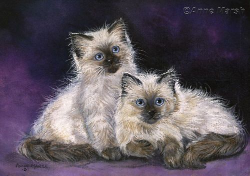 BIRMAN KITTENS CAT PURR FECT PRINT PAINTING ANNE MARSH