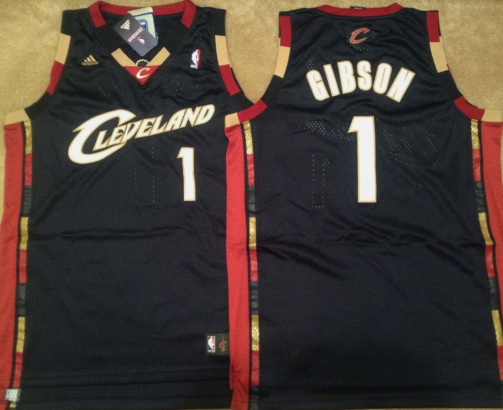 Daniel Gibson Cleveland Cavaliers Cavs Adidas Blue Swingman Mens Sewn