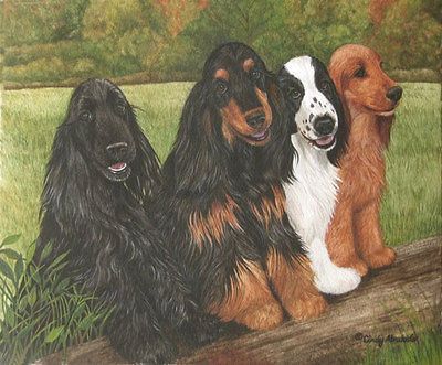 Beautiful English Cocker Spaniel print by Cindy Alvarado