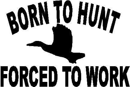 HUNTING DUCK GOOSE LAKE GRASS ATV 4 WHEELER 4X4 TRUCK VINYL DECAL