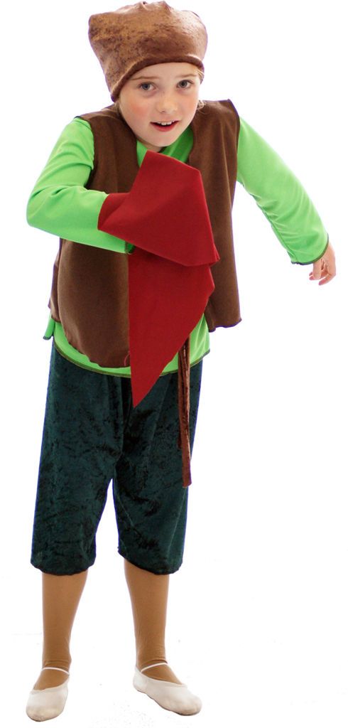 Snow White SNEEZY Dwarf/Gnome Fancy Dress ALL AGES