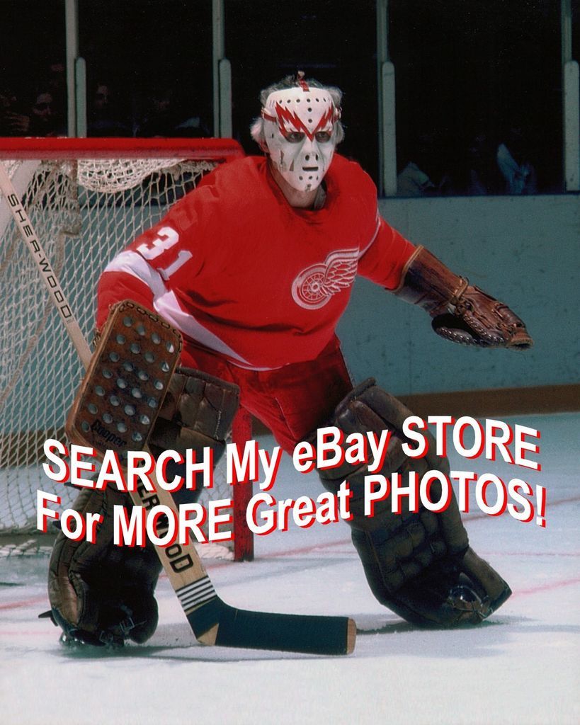 MUNSTER Mask HOFer #31 Eddie GIACOMIN Detroit RED Wings St. Louis