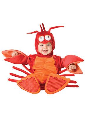 Lil Lobster Infant/Toddler Costume SizeInfant 12 18Mo